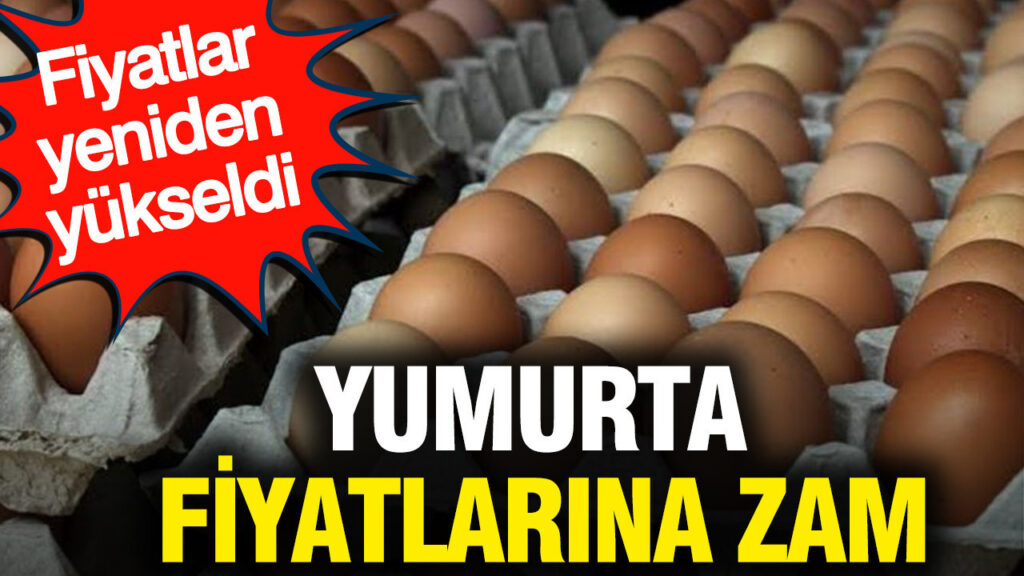 Yumurta fiyatlarına zam: Fiyatlar yeniden yükseldi